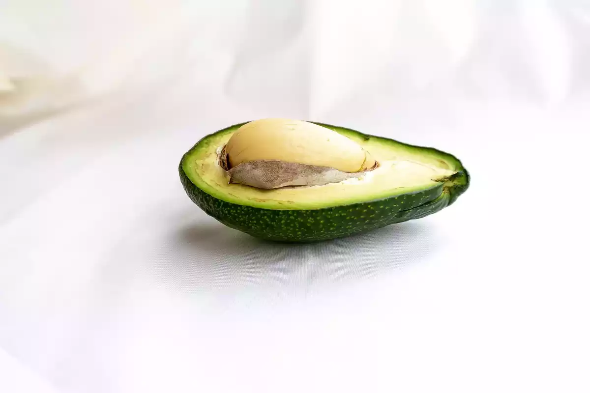 An avocado green fruit with on a white paper