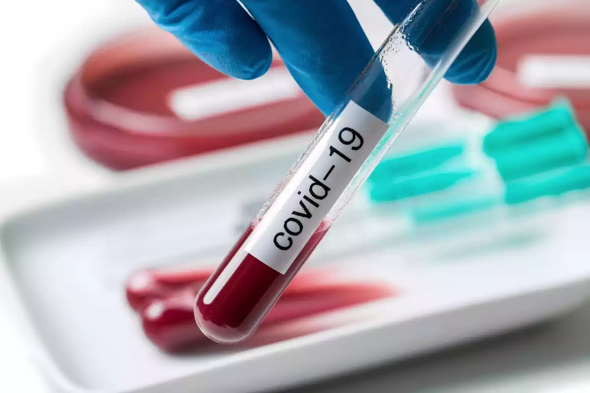 COVID-19 blood tube
