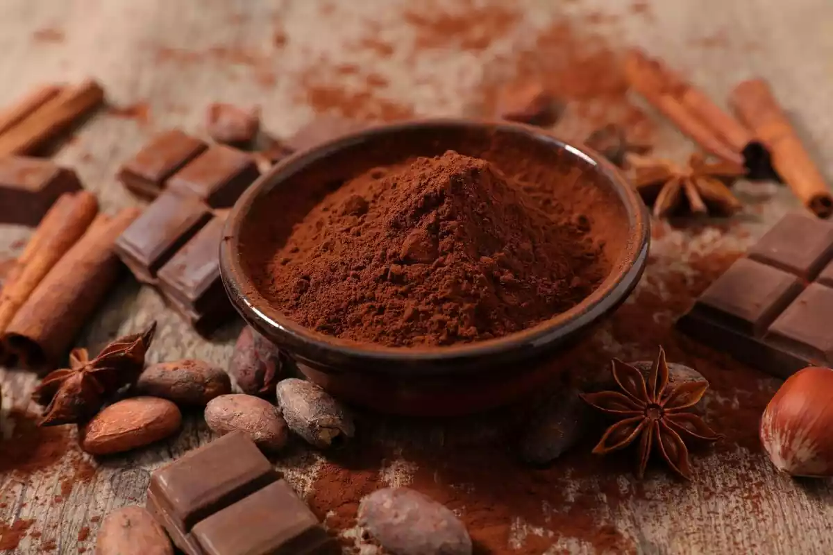 Bol con cacao en polvo rodeado de trozos de chocolate y granos de cacao