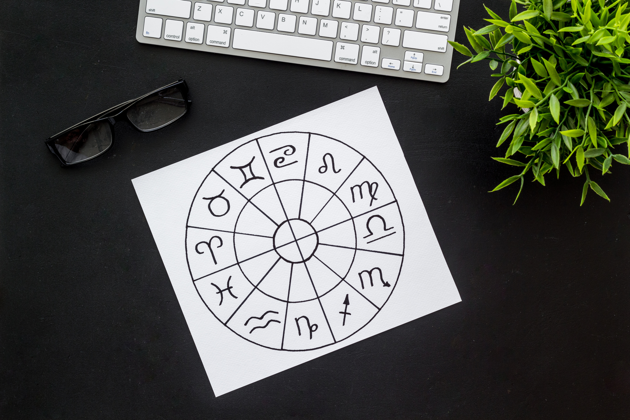 The 12 zodiac signs in a circle on a white piece of paper on a desk